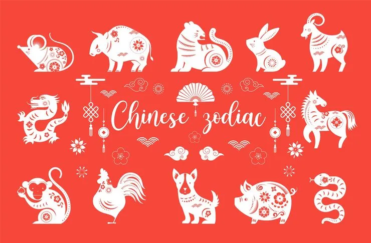 目光远眺思绪万千水云况得平生趣猜解打一最佳准确释义生肖词语解释指代表什么生肖