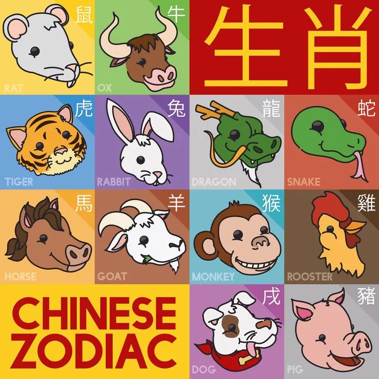 “木兰从军”打一生肖代表什么?完整成语释义与精准答案解读!