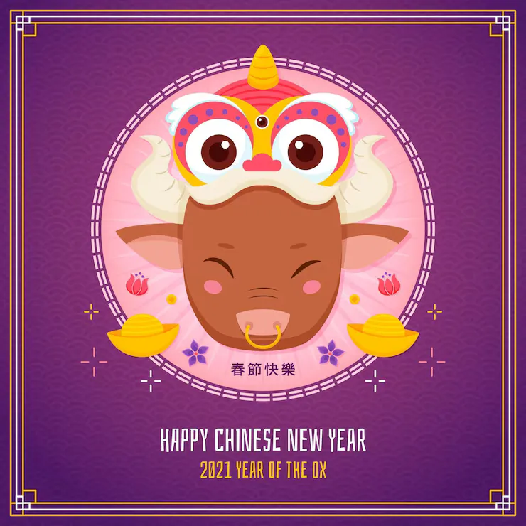 拭面容言代表指什么生肖？解读最佳释义，一猜就准！