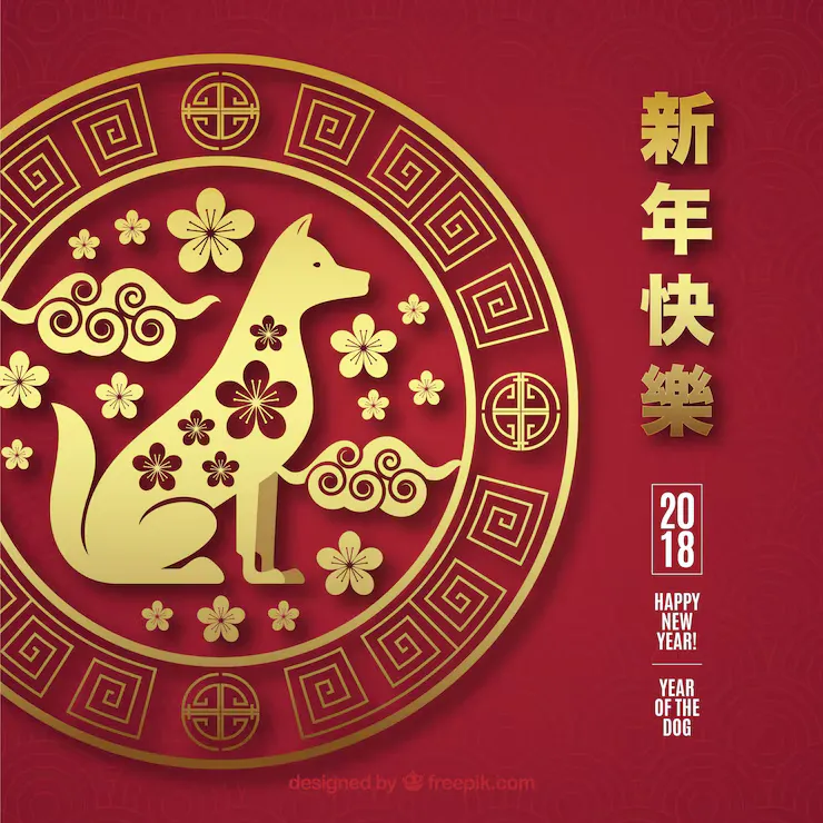 零丁孤苦代表什么生肖？指打一精准生肖，词典解释落实