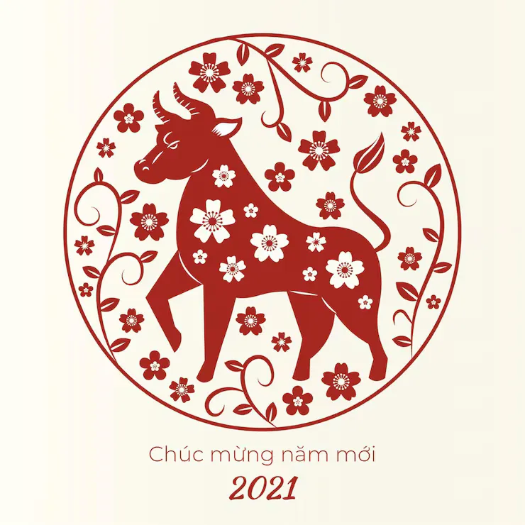 未必学行，必定学慢解空长老莲花手指什么生肖，独家词语解释释义