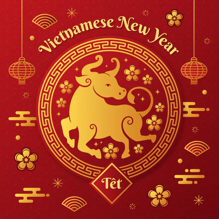 浮皮潦草指什么生肖？精准释义解析成语含义