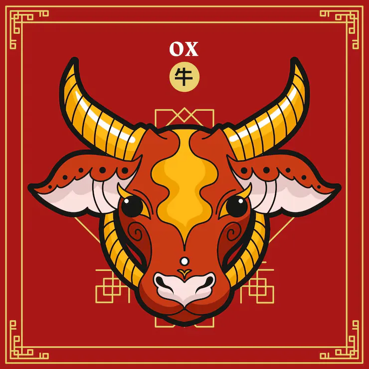 拭面容言是指代表什么生肖，最佳释义词语深度解释