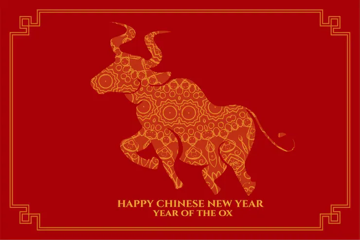 辉光日新指是什么生肖?成语解释释义落实,一猜就准!