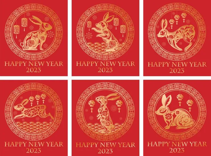 洞若观火指打是什么生肖动物,答案解答解释释义