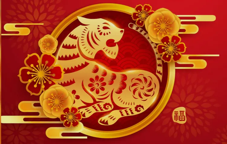 节逢重九海门外打猜一最佳什么生肖？词语精选释义解释，揭秘生肖谜底