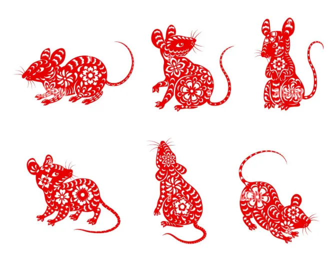 好在收拾付书帘，口诵黄庭两卷经精准代表什么生肖，精选词语答案落实解析