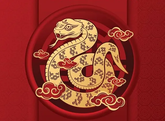 呼天抢地指代表什么生肖？答案揭晓，精准解析落地落实！