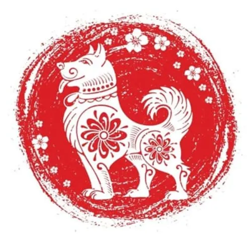 众说纷纷特马数，后方跟着一条狗指什么生肖？词语精选释义完美解析