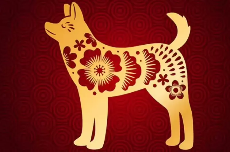 断手续玉是什么生肖,科学解释解答释义