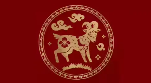 五虚六耗代表是什么生肖，阐释释义落实词语