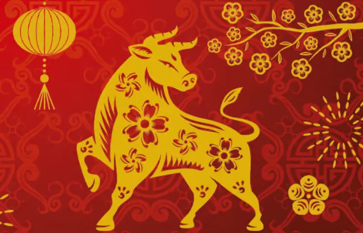 六桥都是行虚处，骄嘶过沽酒楼前指最佳代表什么生肖，猜打一准确生肖词语解释