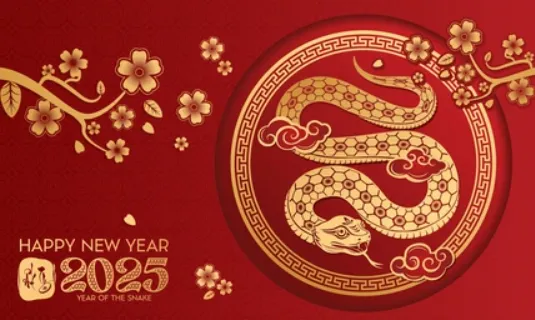 众说纷纭特马数，后方跟着一条狗指什么生肖？最佳词语解释释义