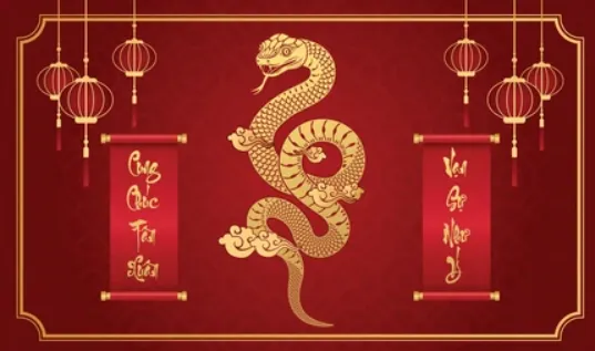 隳肝沥胆代表什么生肖？成语解释释义深度解析，一猜就准！