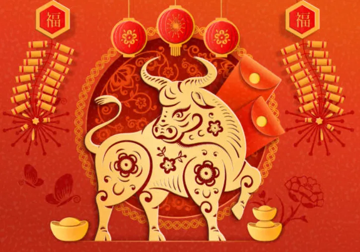 今期生肖二三开，二来得马必来跟指打代表最佳什么生肖？精选释义词语解释