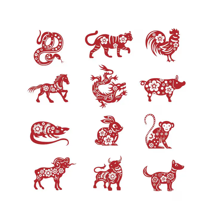 一两棕鞋八尺藤，指代什么生肖？最佳成语解释揭晓