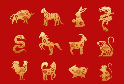 “好在收拾付书帘，口诵黄庭两卷经”代表什么生肖？经典答案解读落实