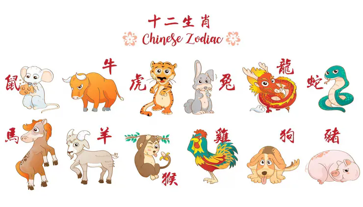 更长梦短，对应生肖为鼠，精选落实解答